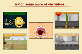 Multimedia based learning paradigm for School going children using 3D Animation