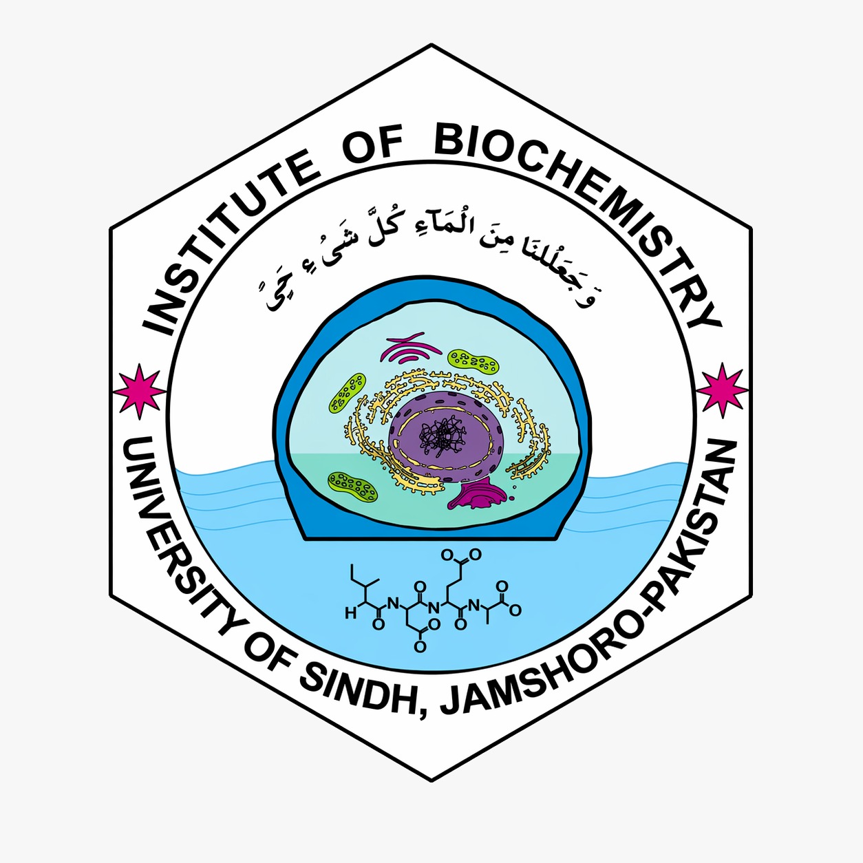 Sindh University Journal of Biochemistry, Nutrition and Food Sciences